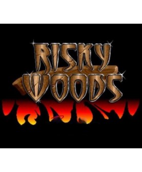 Risky Woods Steam Key GLOBAL